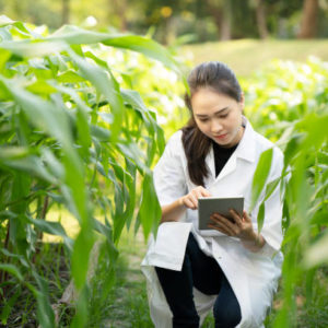 Biotechnology woman engineer examining and record data plant leaf for disease, science and research concept